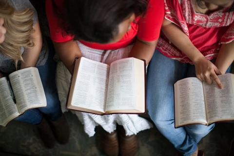 ladies bible studies